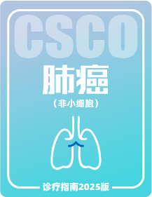 2025CSCO非小细胞肺癌诊疗指南在线阅读